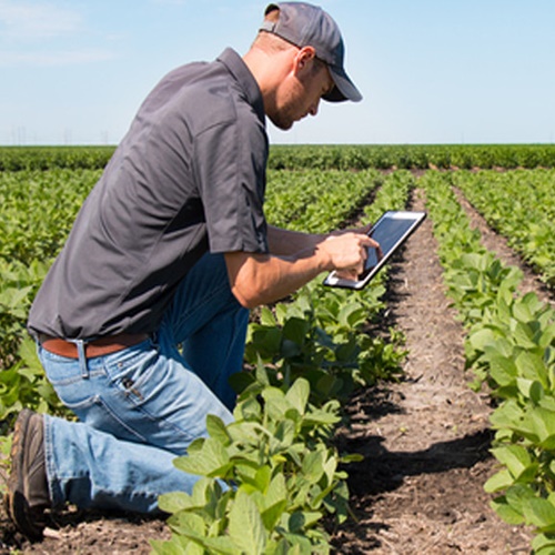 #CÁTEDRAAVÍCOLA | Tecnología y sustentabilidad en los cultivos // Jorge Bassi (Pte de Fertilizar)