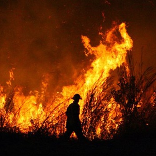 #REPERFILADAS |Para tratar la crisis climática se necesita una acción que exceda el voluntarismo individual" // Sofía Benencio (Jóvenes por el Clima Córdoba)