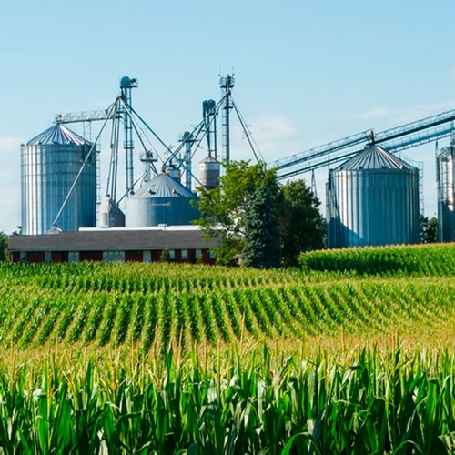 #CÁTEDRAAVÍCOLA  | Formación del Consejo Agroindustrial Argentino // Juan Pablo Ravazzano (Pte. de CAENA)