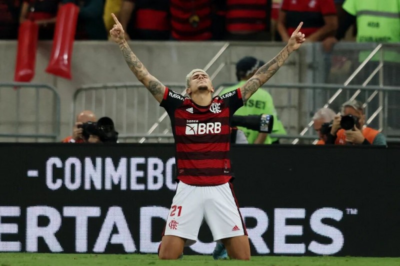 pedroflamengo