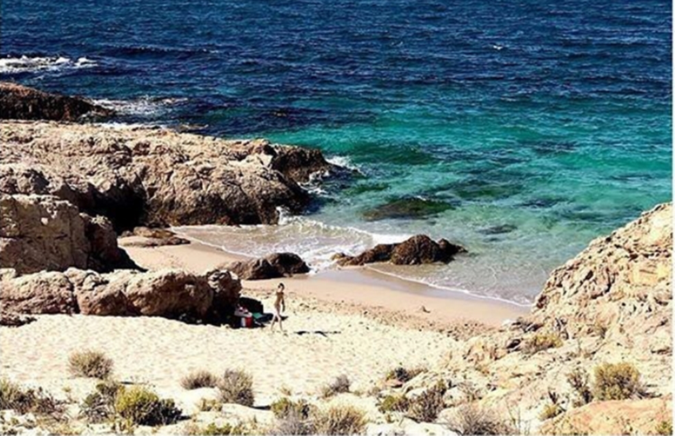 ¿La Galápagos Argentina? Bahía Bustamante, habla ¡su dueña!